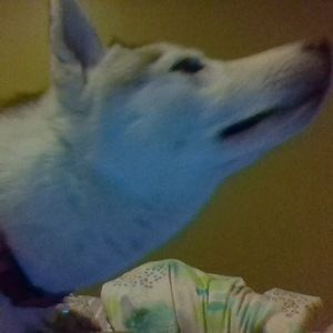 Meet your Posher, Melody